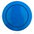 SPAS FILTERS SPA FILTER SPACONCEPTS