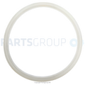 Wellis WELLIS Rubber seal for filter housing