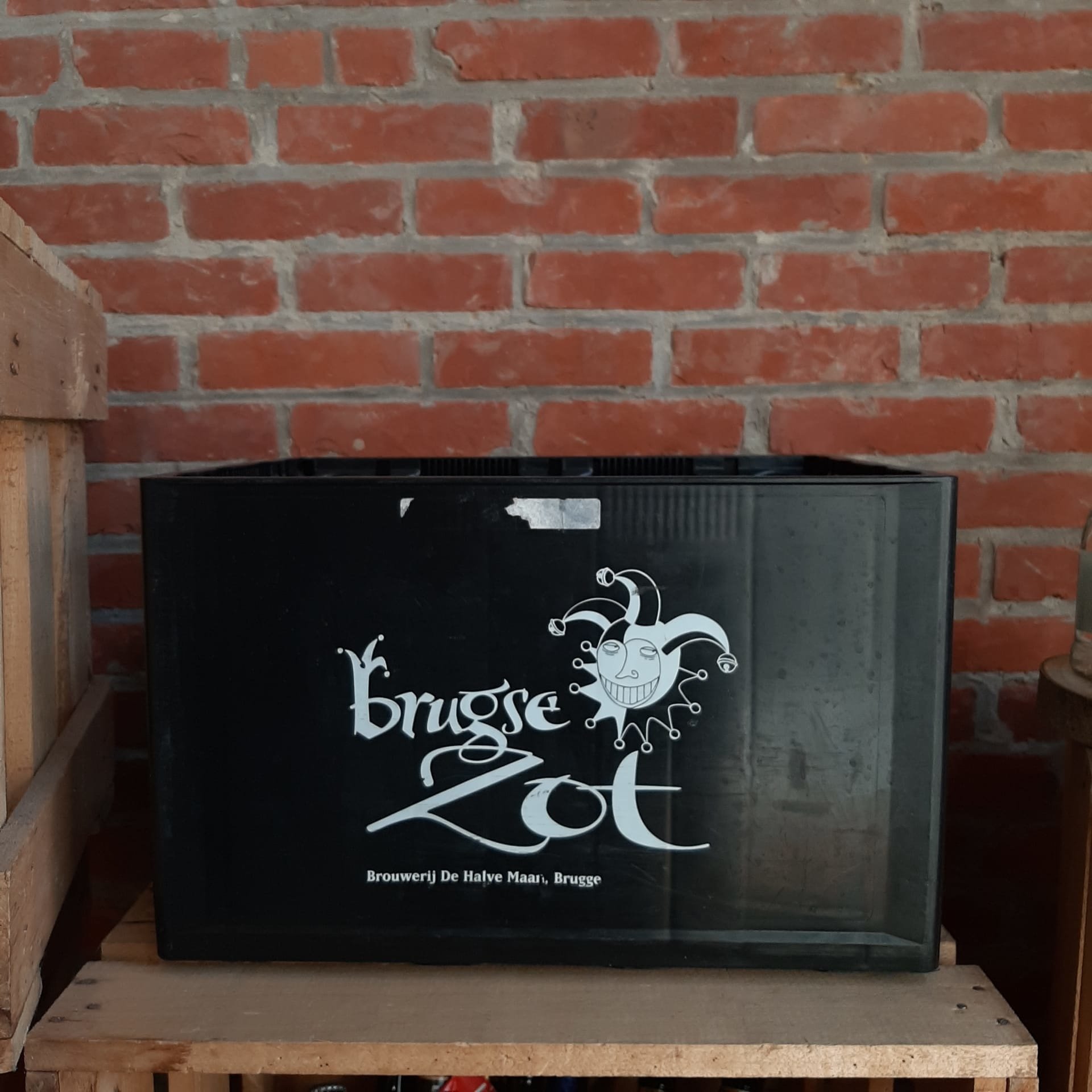 EMPTY CRATE BRUGSE ZOT