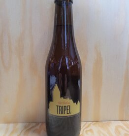 TER DOLEN TRIPEL 33 CL