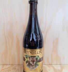 LUPULUS BRUIN 75 CL
