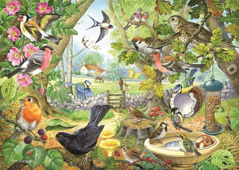 The House Of Puzzles Dawn Chorus Puzzel 1000 Stukjes the house of puzzles kopen in de aanbieding