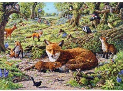 The House Of Puzzles Foxley Wood Puzzel 1000 Stukjes the house of puzzles kopen in de aanbieding