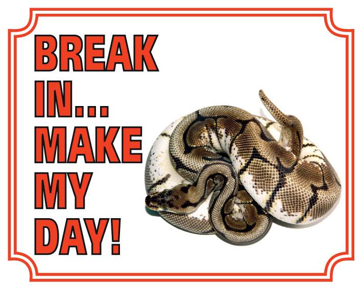 Stickerkoning Konings Python Waakbord Break In Make My Day stickerkoning kopen in de aanbieding