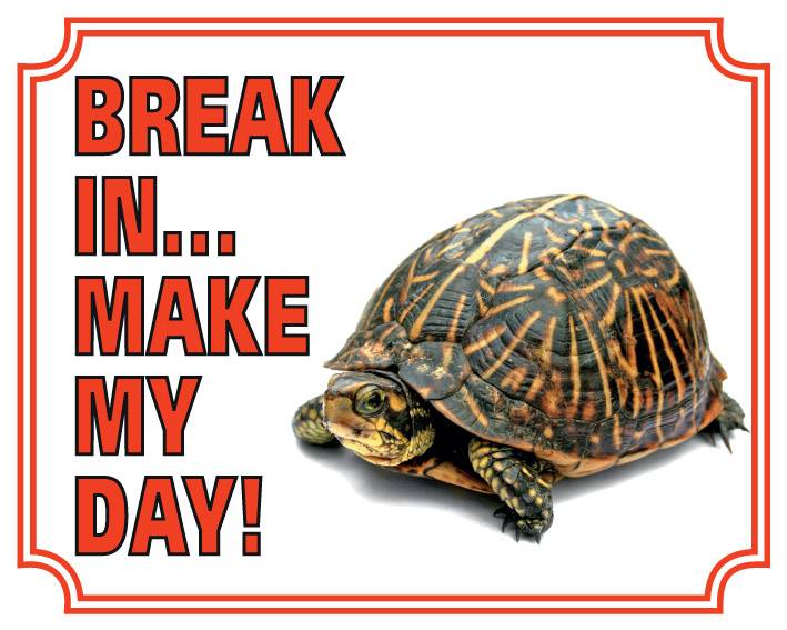 Stickerkoning Schildpad Waakbord Break In Make My Day stickerkoning kopen in de aanbieding