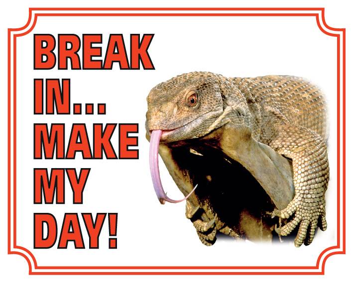 Stickerkoning Hagedis Waakbord Break In Make My Day stickerkoning kopen in de aanbieding
