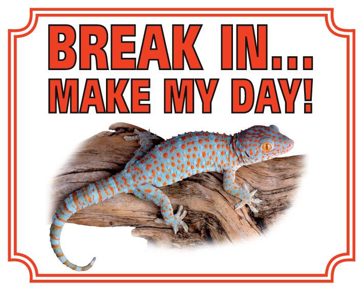 Stickerkoning Gekko Waakbord Break In Make My Day stickerkoning kopen in de aanbieding
