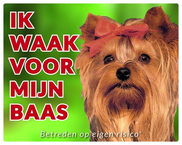 Stickerkoning Yorkshire Terrier Waakbord Ik Waak Voor Mijn Baas stickerkoning kopen in de aanbieding