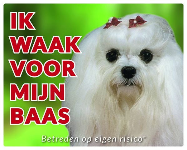 Stickerkoning Maltezer Waakbord Ik Waak Voor Mijn Baas stickerkoning kopen in de aanbieding