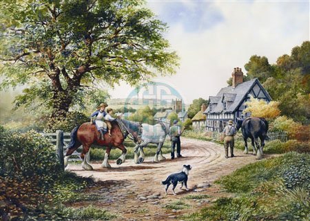 The House Of Puzzles Homeward Bound Puzzel 1000 Stukjes the house of puzzles kopen in de aanbieding