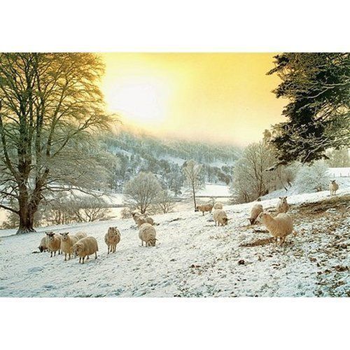 The House Of Puzzles Frosty Morn Puzzel 1000 Stukjes the house of puzzles kopen in de aanbieding