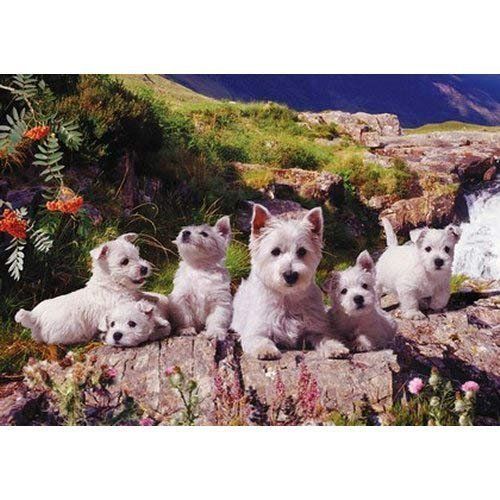 The House Of Puzzles Westies Puzzel 1000 Stukjes the house of puzzles kopen in de aanbieding