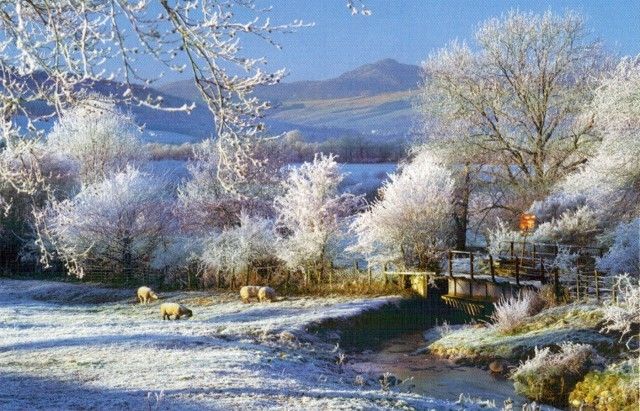 The House Of Puzzles Touch Of Frost Puzzel 500 Stukjes Xl the house of puzzles kopen in de aanbieding