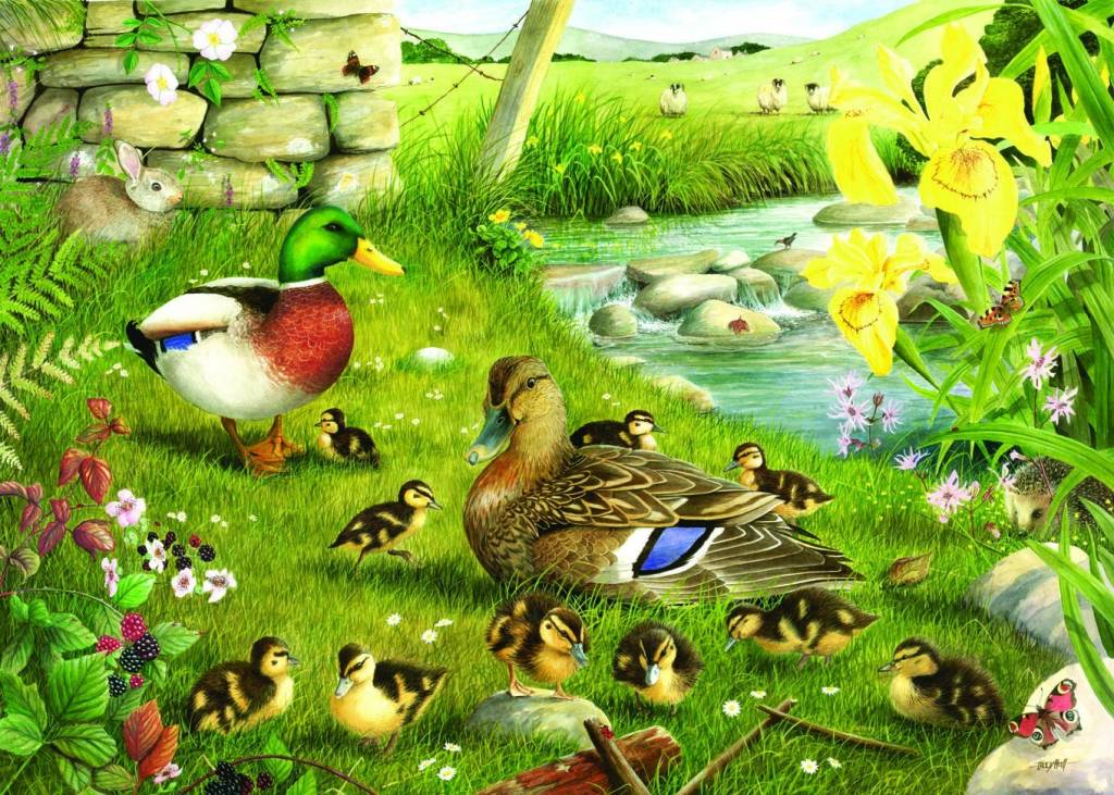 The House Of Puzzles Ducks To Water Puzzel 500 Stukjes Xl the house of puzzles kopen in de aanbieding