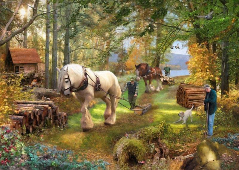 The House Of Puzzles Horse Power Puzzel 500 Stukjes the house of puzzles kopen in de aanbieding
