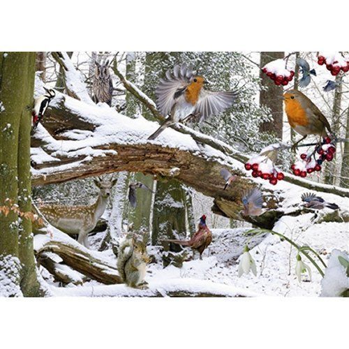 The House Of Puzzles Winter Wood Puzzel 500 Stukjes the house of puzzles kopen in de aanbieding