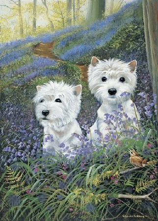 Otterhouse Westies The Bluebells Puzzel 1000 Stukjes otterhouse kopen in de aanbieding