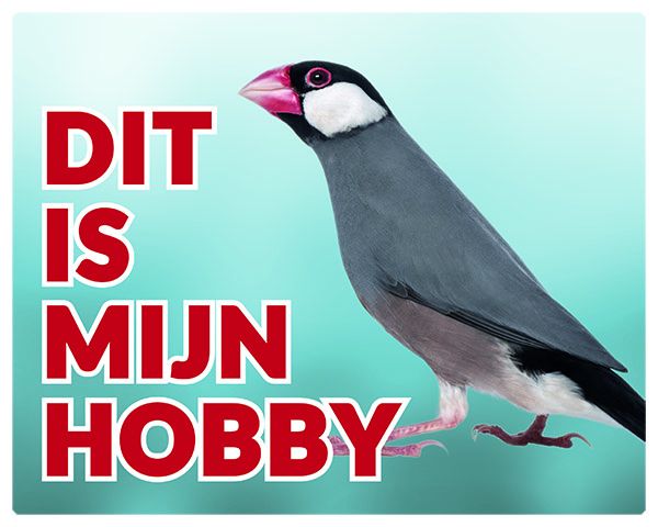 Stickerkoning Rijstvogel Waakbord Dit Is Mijn Hobby stickerkoning kopen in de aanbieding