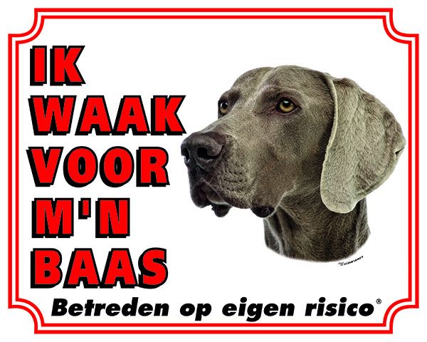 Stickerkoning Weimaraner Waakbord Ik Waak Voor Mijn Baas stickerkoning kopen in de aanbieding