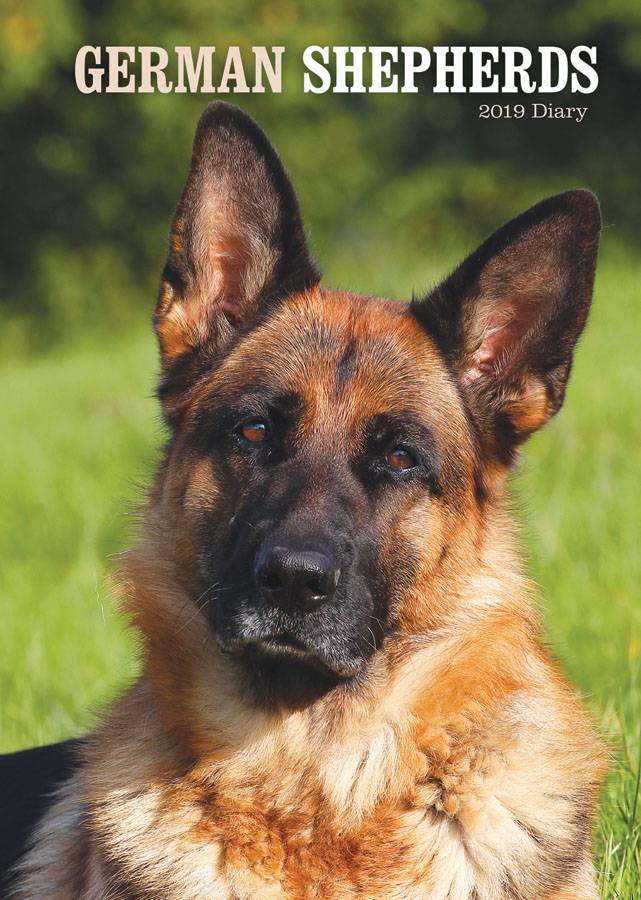Carouselcalendars Duitse Herder Agenda 2019 carouselcalendars kopen in de aanbieding