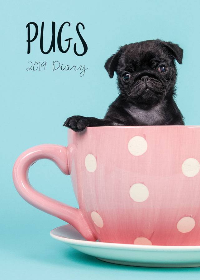 Carouselcalendars Mopshond Agenda 2019 carouselcalendars kopen in de aanbieding