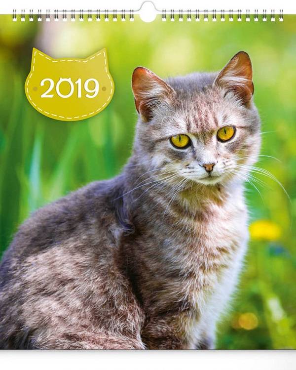 Presco Cats Kalender 2019 presco kopen in de aanbieding