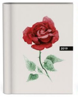 Lannoo Rose Desk Agenda 2019 lannoo kopen in de aanbieding