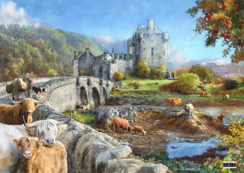 The House Of Puzzles Highland Morning Puzzel 1000 Stukjes the house of puzzles kopen in de aanbieding