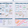 Kalpa Motivatie planner-Dolfijn-A5-gebonden Kalpa Motivatie planner-Dolfijn-A5-gebonden