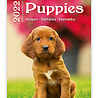 Helma 365 Puppies 2022 Kalpa Wandkalender 24 x 33 cm Helma 365 Puppies 2022 Kalpa Wandkalender 24 x 33 cm