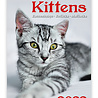 Helma Kalpa Wall Calendar 2022 Kittens Calendar 24 x 33 cm Helma Kalpa Wall Calendar 2022 Kittens Calendar 24 x 33 cm