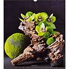 Helma 365 Levendig Design 2022 Kalpa Wandkalender Helma 365 Levendig Design 2022 Kalpa Wandkalender