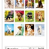 Helma 365 Puppies 2022 Kalpa Wandkalender 24 x 33 cm Helma 365 Puppies 2022 Kalpa Wandkalender 24 x 33 cm