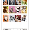 Helma Kalpa Wall Calendar 2022 Kittens Calendar 24 x 33 cm Helma Kalpa Wall Calendar 2022 Kittens Calendar 24 x 33 cm