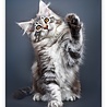 Helma Kalpa Wall Calendar 2022 Kittens Calendar 24 x 33 cm Helma Kalpa Wall Calendar 2022 Kittens Calendar 24 x 33 cm
