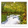 Helma Bos 2022 Kalpa Wandkalender Helma Bos 2022 Kalpa Wandkalender