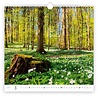 Helma Bos 2022 Kalpa Wandkalender Helma Bos 2022 Kalpa Wandkalender