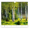 Helma Bos 2022 Kalpa Wandkalender Helma Bos 2022 Kalpa Wandkalender