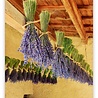 Helma 365 Kalpa Wall Calendar 2022 Provence 31.5 x 45 cm Helma 365 Kalpa Wall Calendar 2022 Provence 31.5 x 45 cm
