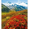 Helma Kalpa Wandkalender 2022 Alpen 31.5 x 45 cm Helma Kalpa Wandkalender 2022 Alpen 31.5 x 45 cm