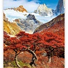 Helma 365 Wandkalender 2022 Bergen 2022 Helma 365 Wandkalender 2022 Bergen 2022