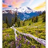 Helma 365 Wandkalender 2022 Bergen 2022 Helma 365 Wandkalender 2022 Bergen 2022