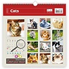 Helma 365 Kalpa kalender 30 x 30 cm Katten Helma 365 Kalpa kalender 30 x 30 cm Katten