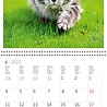Helma 365 Kalpa calendar 30 x 30 cm Cats Helma 365 Kalpa calendar 30 x 30 cm Cats