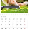 Helma 365 Kalpa calendar 30 x 30 cm Cats Helma 365 Kalpa calendar 30 x 30 cm Cats