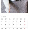 Helma 365 Kalpa calendar 30 x 30 cm Cats Helma 365 Kalpa calendar 30 x 30 cm Cats