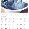 Helma 365 Kalpa calendar 30 x 30 cm Cats Helma 365 Kalpa calendar 30 x 30 cm Cats