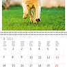 Helma 365 Kalpa Kalender 30 x 30 cm Honden Helma 365 Kalpa Kalender 30 x 30 cm Honden