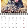 Helma 365 Kalpa Calendar 30 x 30 cm Dogs Helma 365 Kalpa Calendar 30 x 30 cm Dogs