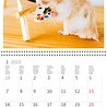Helma 365 Kalpa kalender 30 x 30 cm Schattig Helma 365 Kalpa kalender 30 x 30 cm Schattig